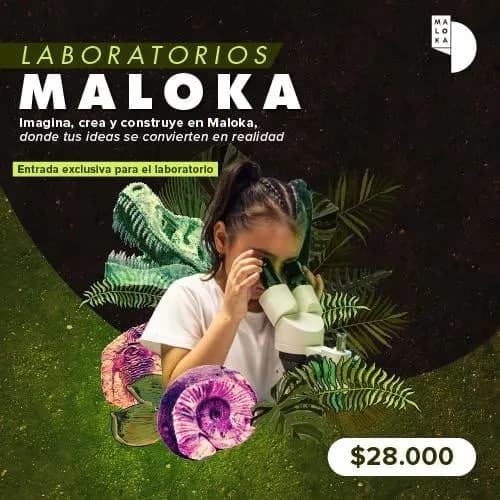Laboratorios en Colombia: 20 de octubre y boletas 2026